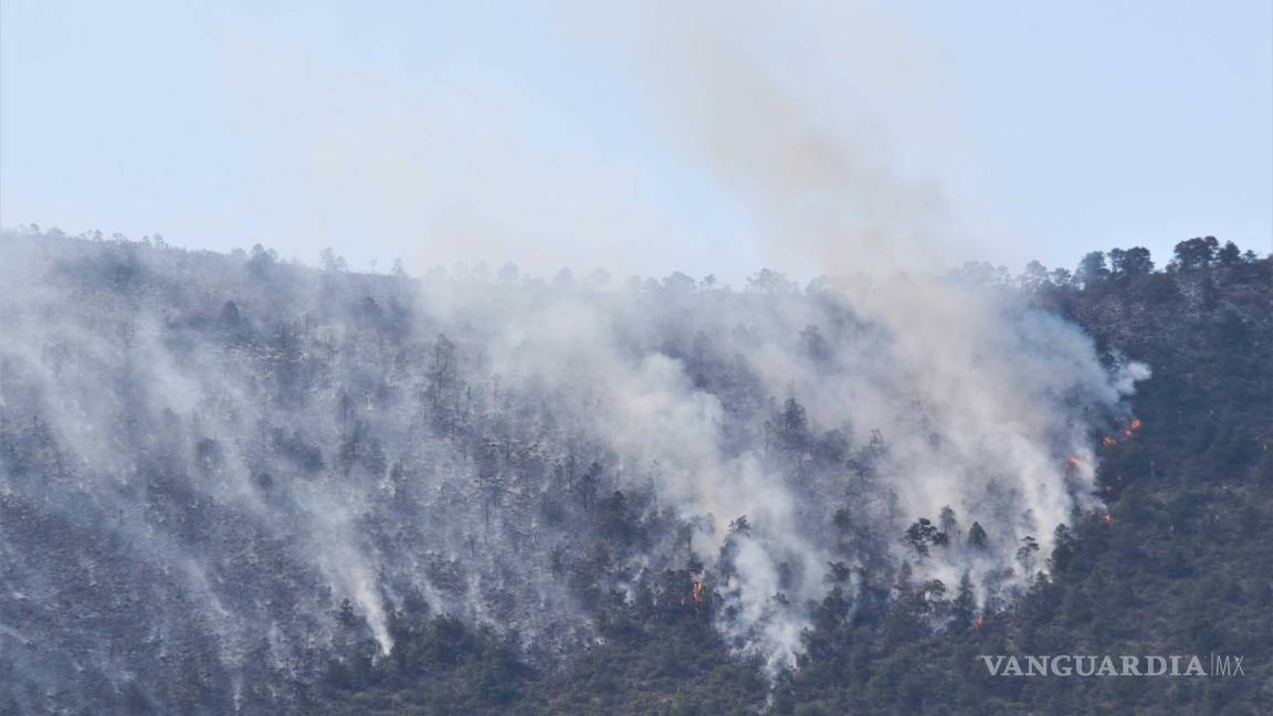 Saltillo: revive incendio forestal en Cañón de San Lorenzo; brigadistas combaten el fuego