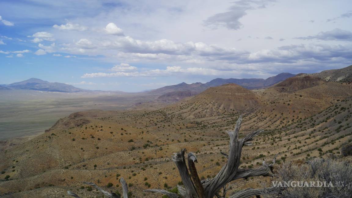 $!Zona de las montañas de Augusta (Nevada, EU) donde se encontró el fósil de C. youngorum. EFE/Lars Schmitz