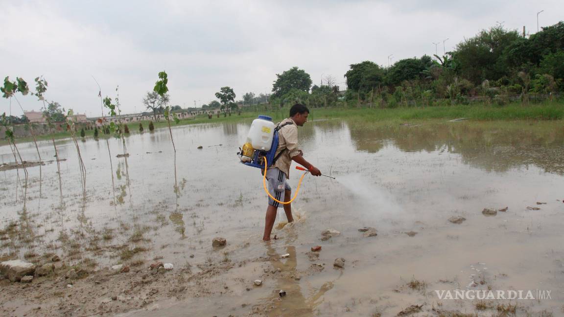 $!Así afecta el cambio climático a la salud
