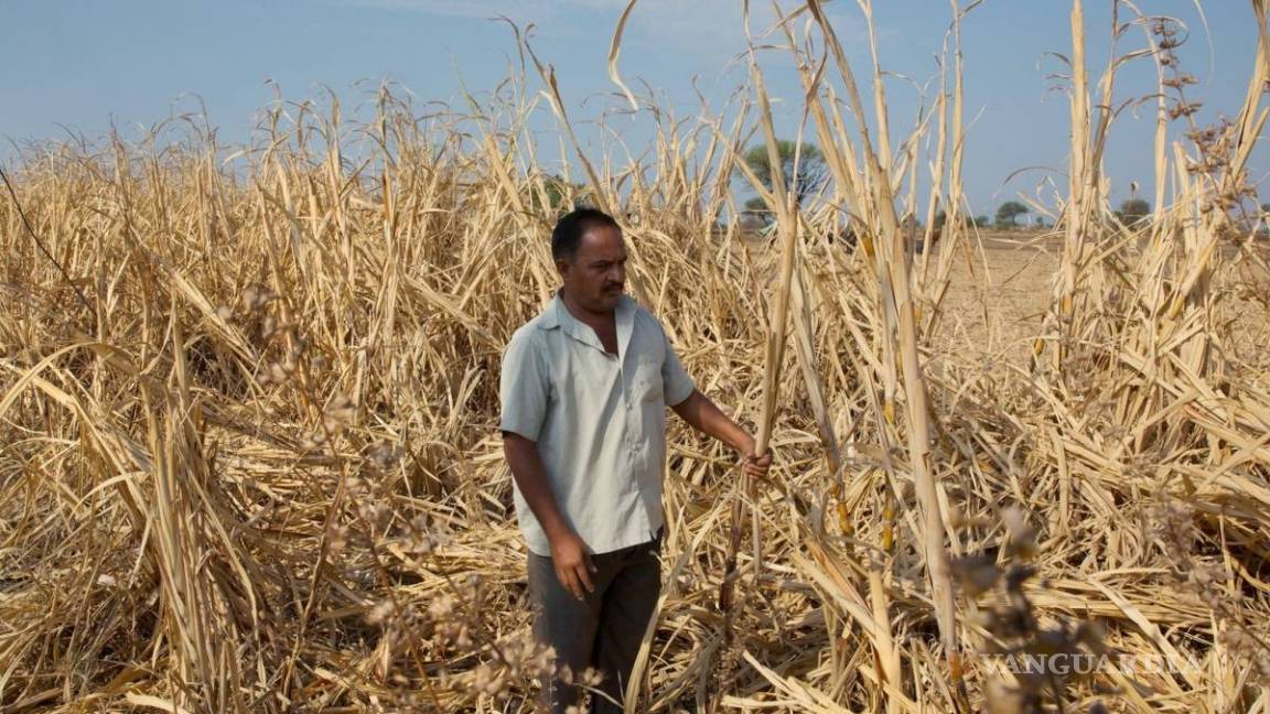 Calentamiento global causa suicidios en La India