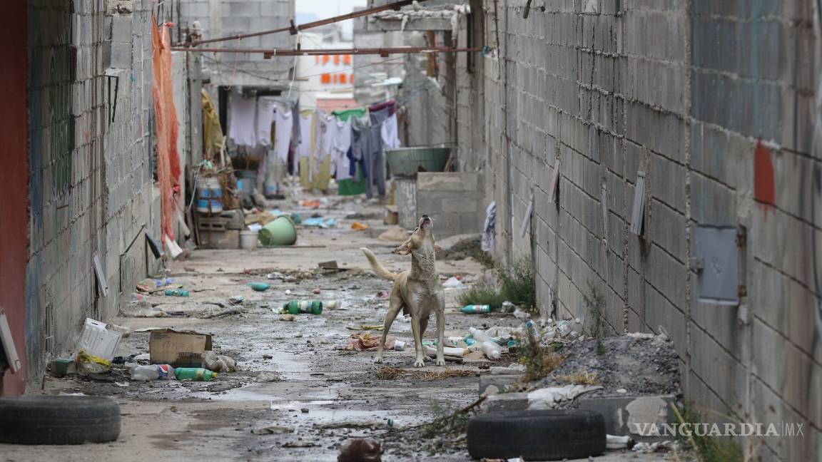 $!Así es la vida en la Ciudad Mirasierra