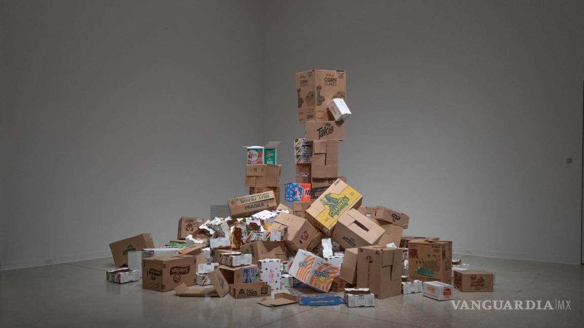 $!‘El otro vecino del otro lado’: Arte que revela la realidad de la migración latina a Canadá