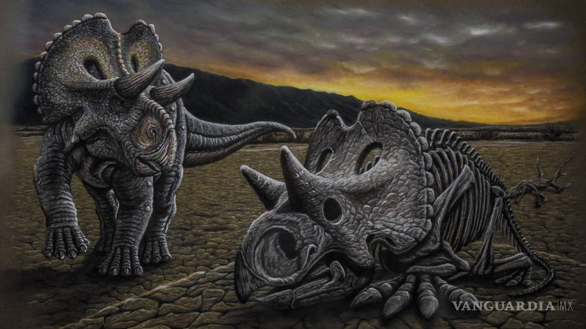 $!Inaugura Punta de Plata su galería ‘Ecos del Trazo’ en Museo Rubén Herrera