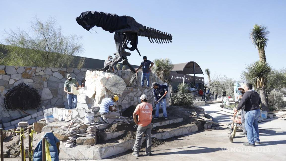 A paso lento va la colocación del nuevo dinosaurio del Museo del Desierto