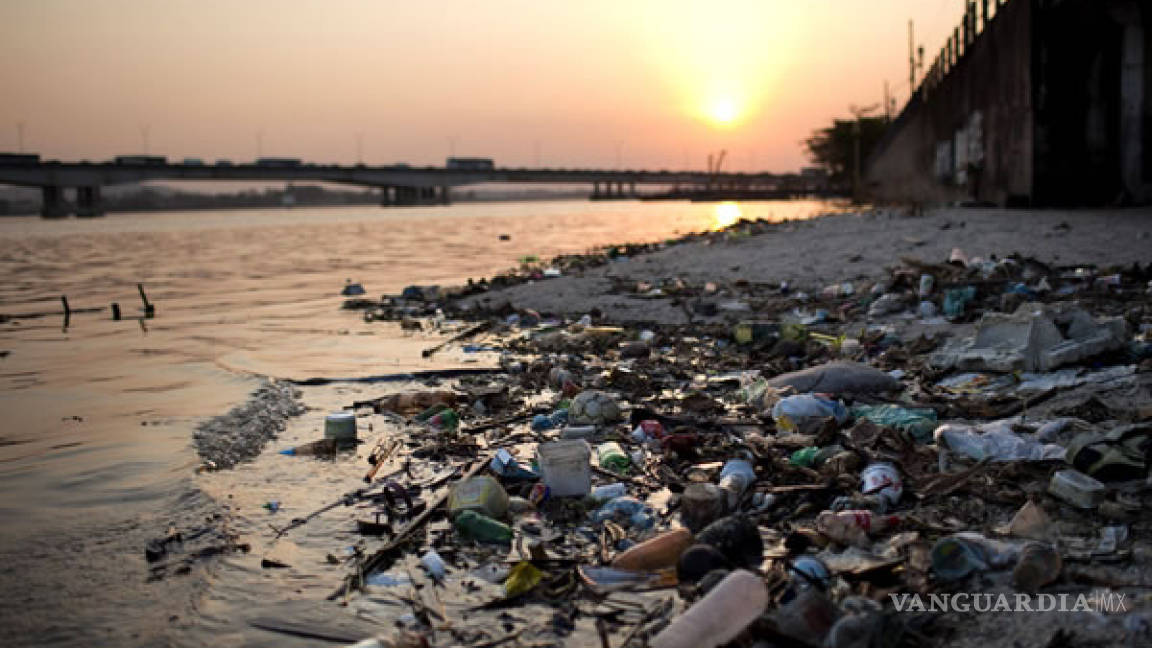 Más de 20 mil kilómetros cuadrados de “zona muerta” en el Golfo de México rompen récord histórico
