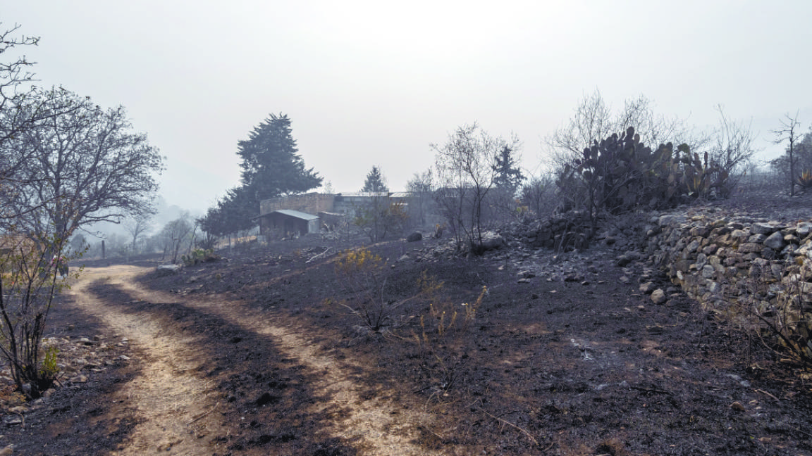 ‘Afectados por incendio en Región Sureste de Coahuila tienen seguro de daños’