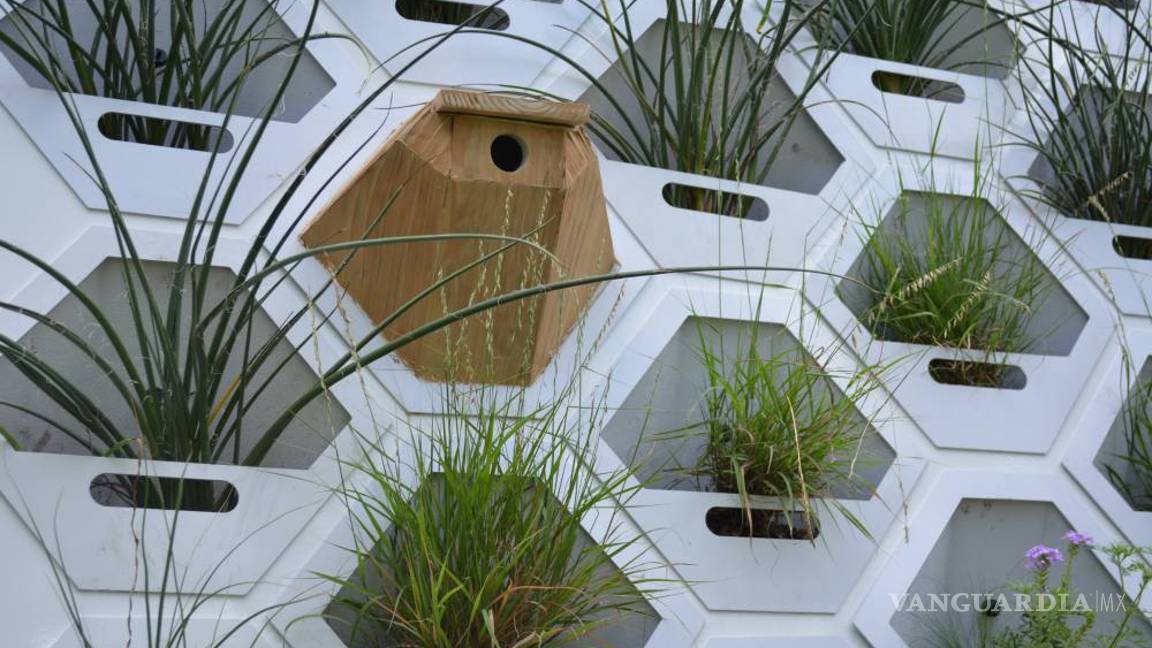 $!Pon a tu casa una piel verde