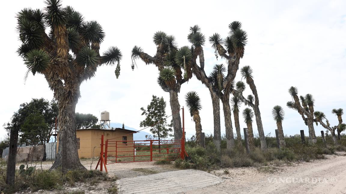 $!Saltillo: ejidatarios ven positivo proyecto fotovoltaico de Iberdrola; rentará terreno de acceso