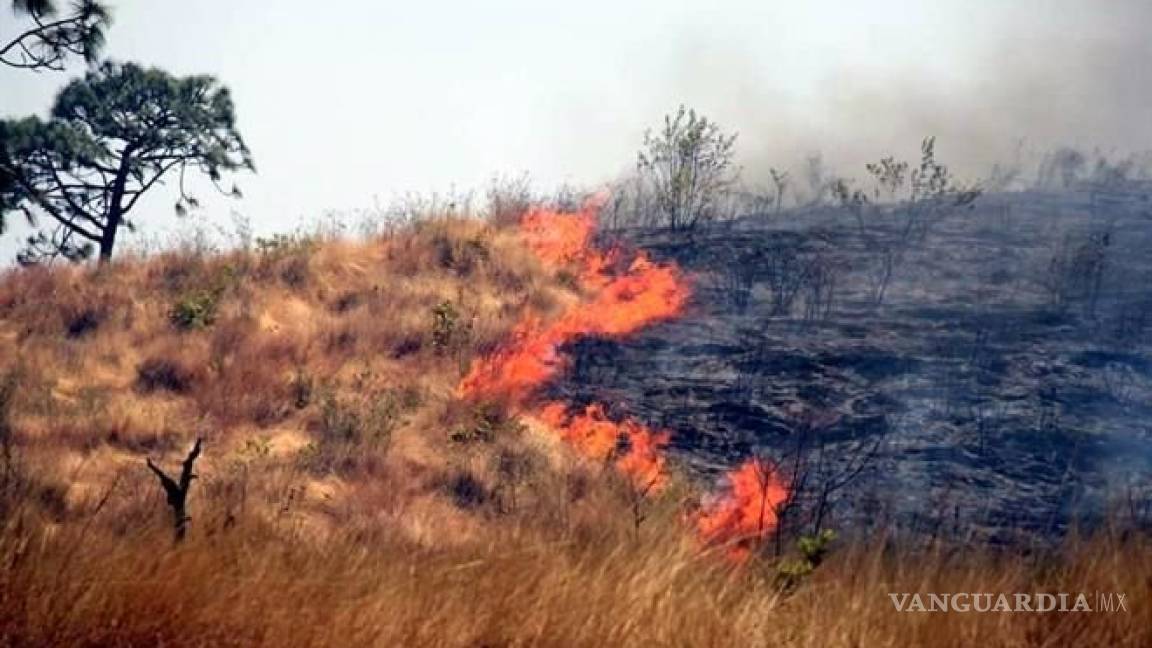Incendio consume 5 mil hectáreas en la sierra Tarahumara