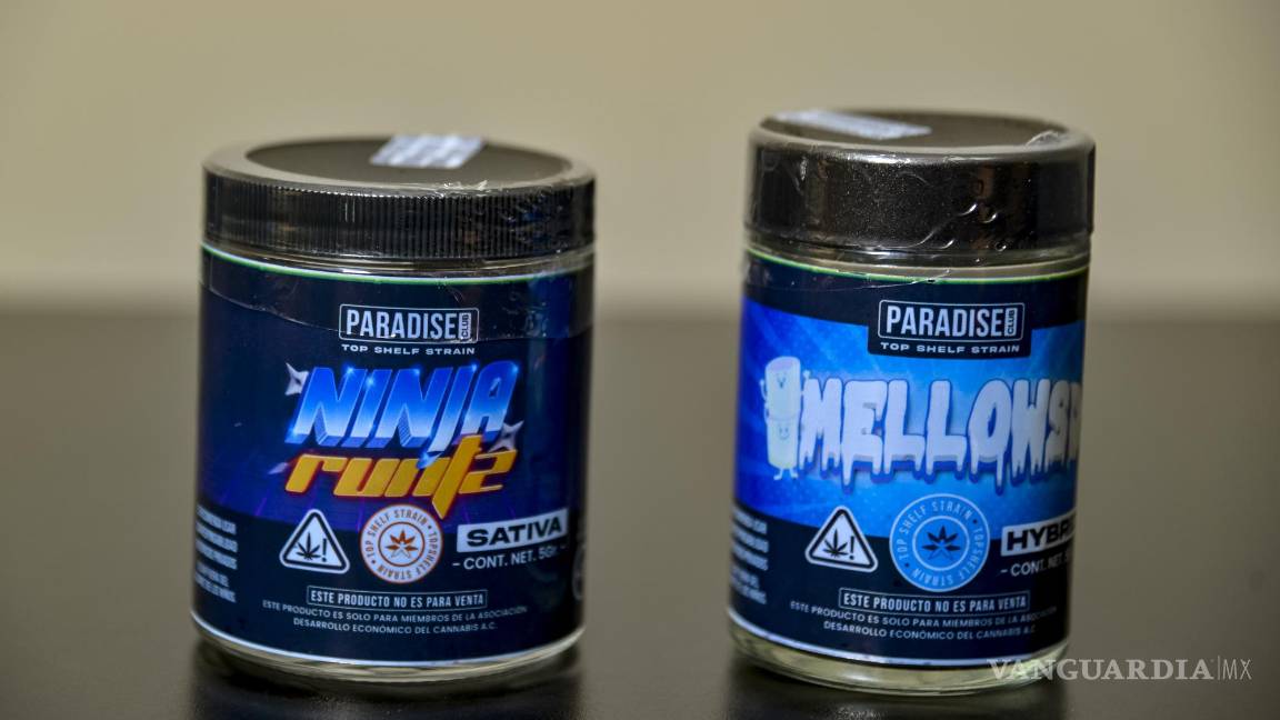 $!En la tienda-club de Paradise se pueden enc ontrar distintos tipos de productos con base en cannabis.