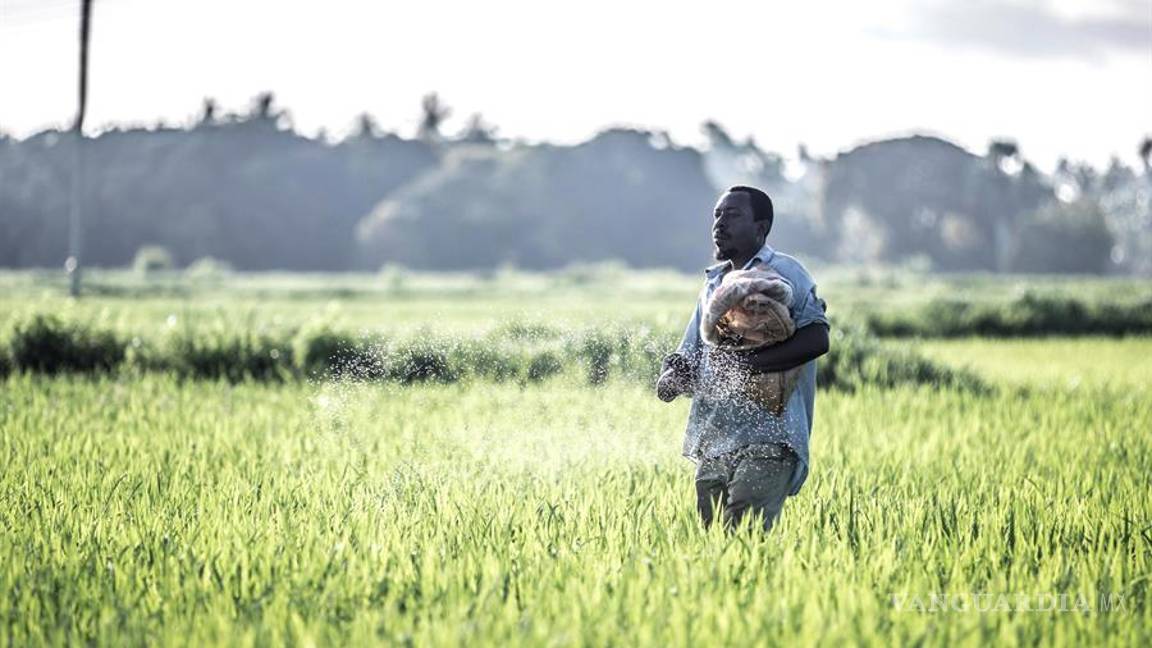 $!Asfixian al mosquito de la malaria con el uso pionero de drones en Tanzania