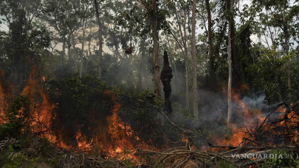 Atiende ‘de lejos’ Bolsonaro cumbre por la Amazonia