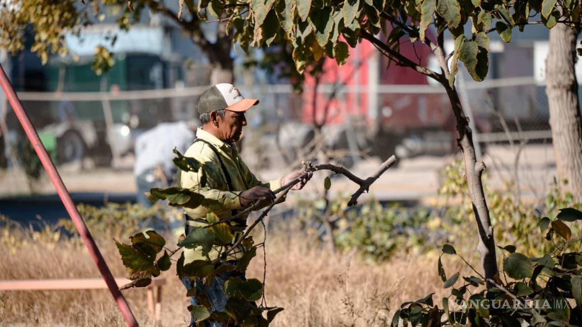 $!Comerciantes y vecinos destacaron la importancia de mantener las plazas iluminadas y seguras, pues son puntos de reunión para jóvenes, familias y adultos mayores.