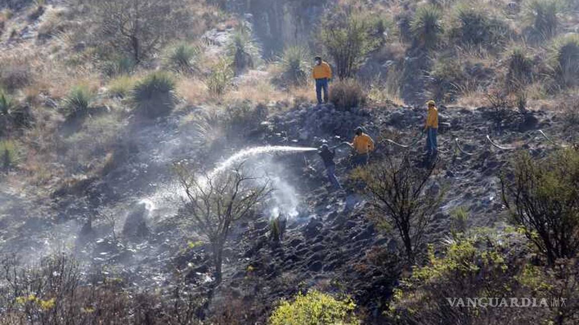 $!Incendio en sierra de Zapalinamé está controlado: SMA