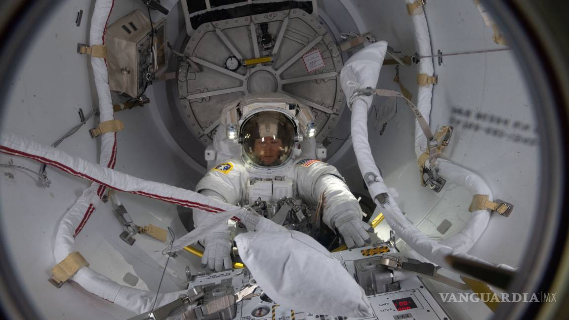 $!Nasa cataloga los microbios y hongos de la Estación Espacial