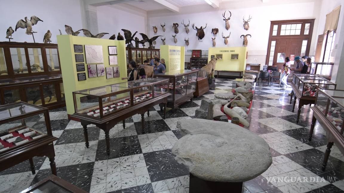 $!La Pinacoteca del Ateneo Fuente presentará su catálogo en el Festival del Patrimonio Cultural 2025.