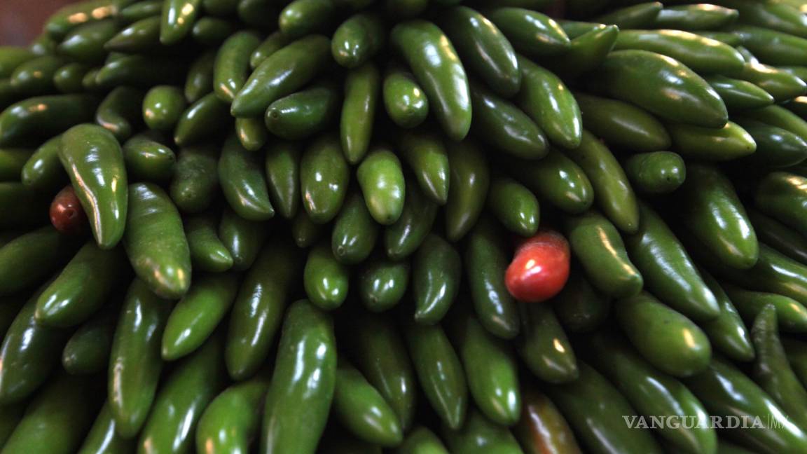 México busca denominación de origen para chiles en acuerdo actualizado del TLCUEM