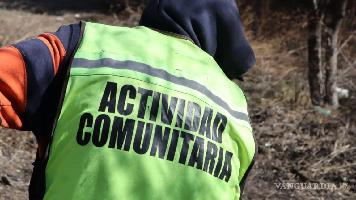 $!Las personas infractoras participan en limpieza y embellecimiento de espacios públicos.