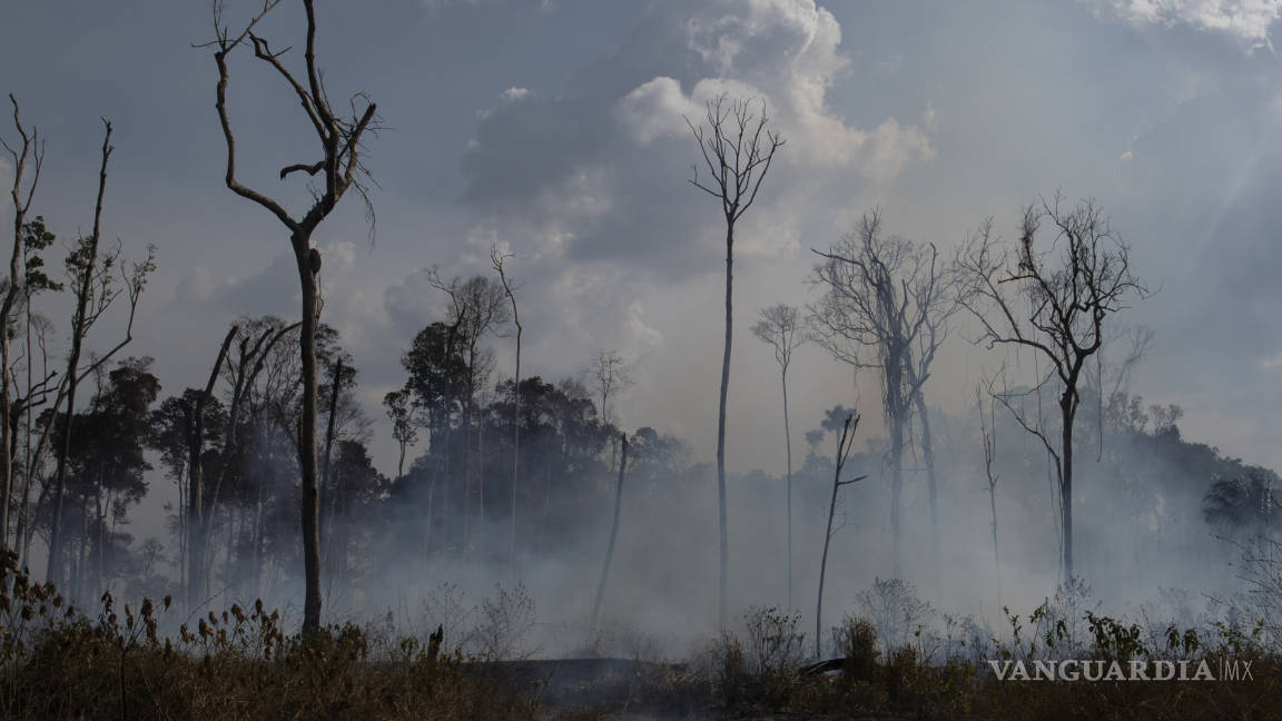 $!G7 ofrece a Brasil 20 mdd para combatir el fuego en la Amazonía