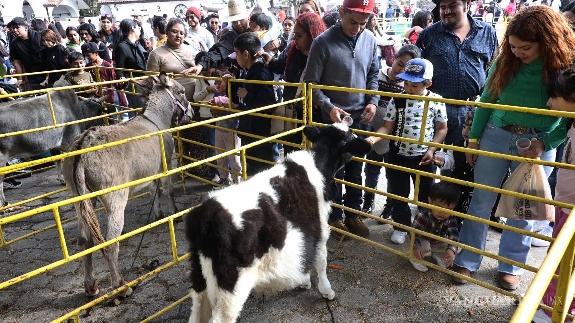 $!La granja interactiva fue uno de los espacios más visitados del festival.