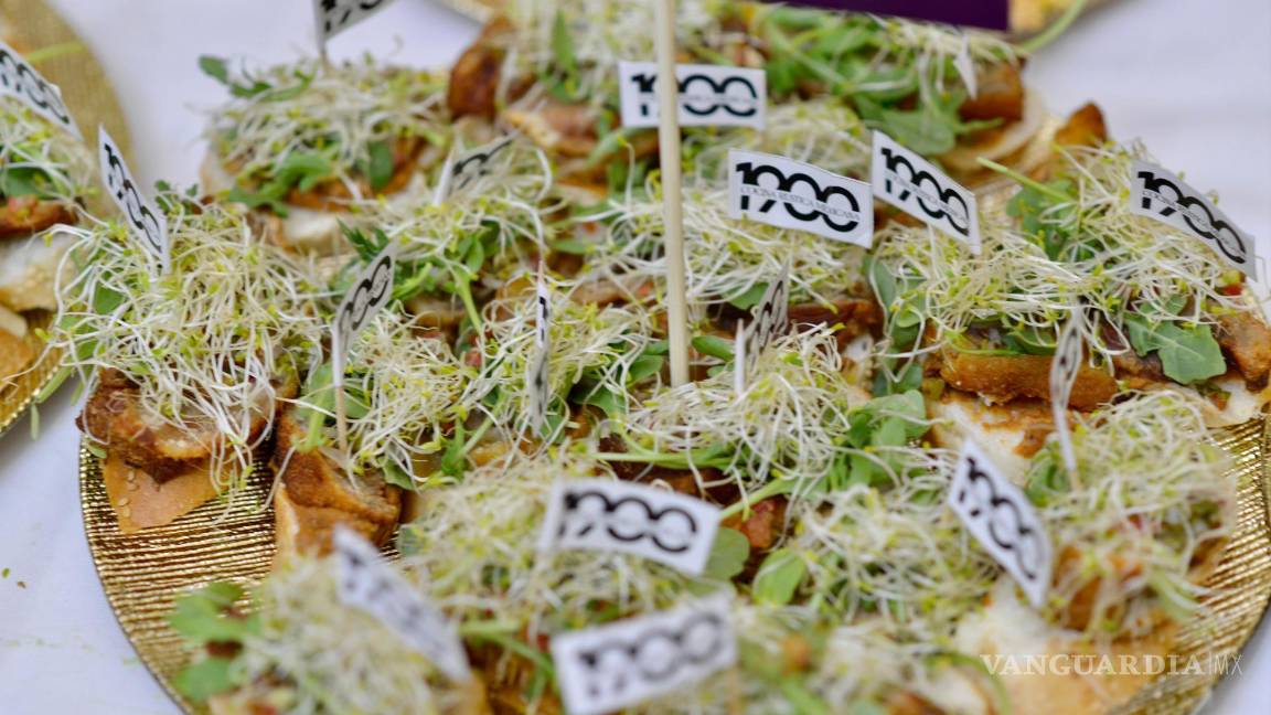 $!¡Despedida a lo grande! ‘Vive tu Centro’ cierra su primera temporada desde el Museo de las Aves