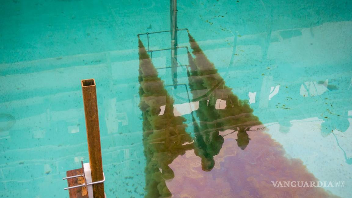 $!La óleo-esponja absorbe 90 veces su propio peso y extrae distintos tipos de petróleo