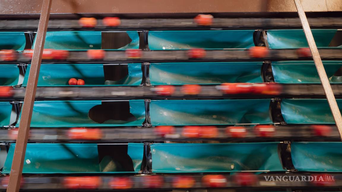 $!El Valle Central de California, que produce cerca el 40% de las frutas, verduras y frutos secos cultivados en EU, sigue en vilo por las redadas.