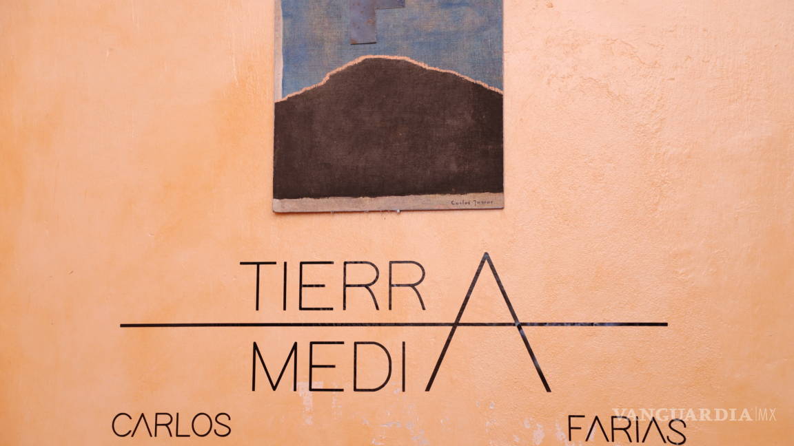 'Tierra Media' de Carlos Farías : de-construcción de la atmósfera