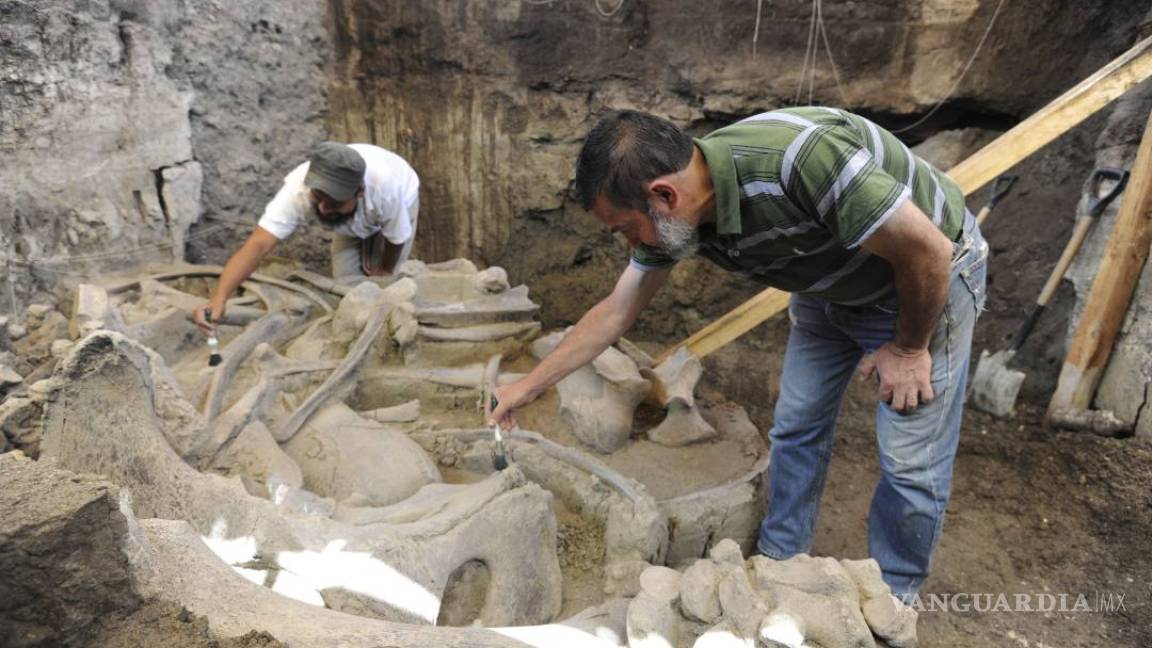 Hallan restos de un mamut de hace 13 mil años en México
