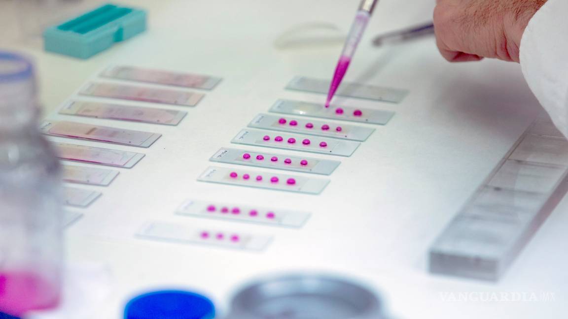 $!Así afecta el cambio climático a la salud