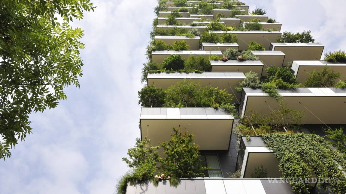 $!En la región china de Liuzhou se construye la primera ciudad-bosque del mundo