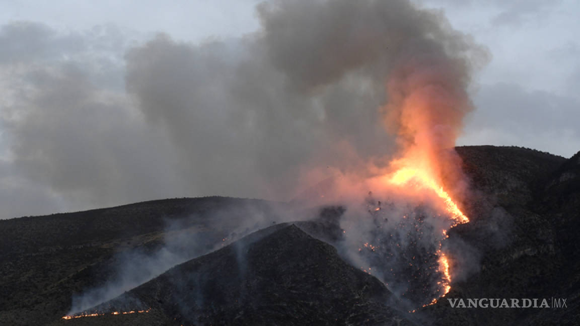 Conafor reporta 37 incendios forestales activos en México