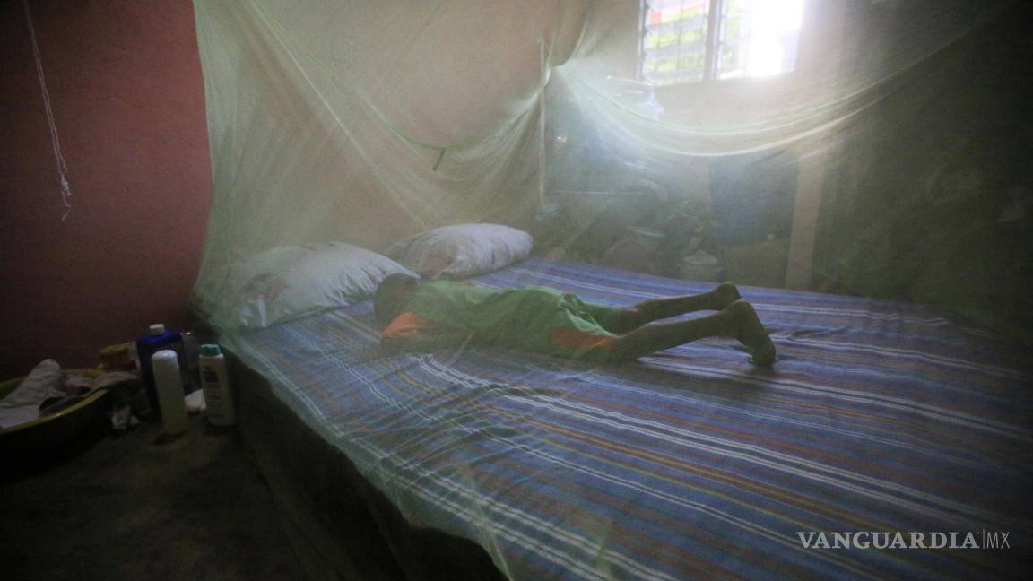 Alerta OMS brote de malaria en Venezuela