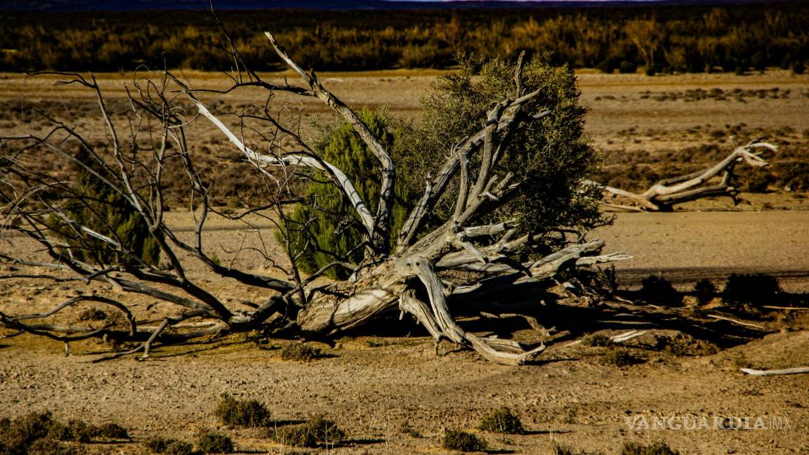 $!Olas de calor, sequías severas e inundaciones torrenciales son algunos de los fenómenos que se están intensificando.