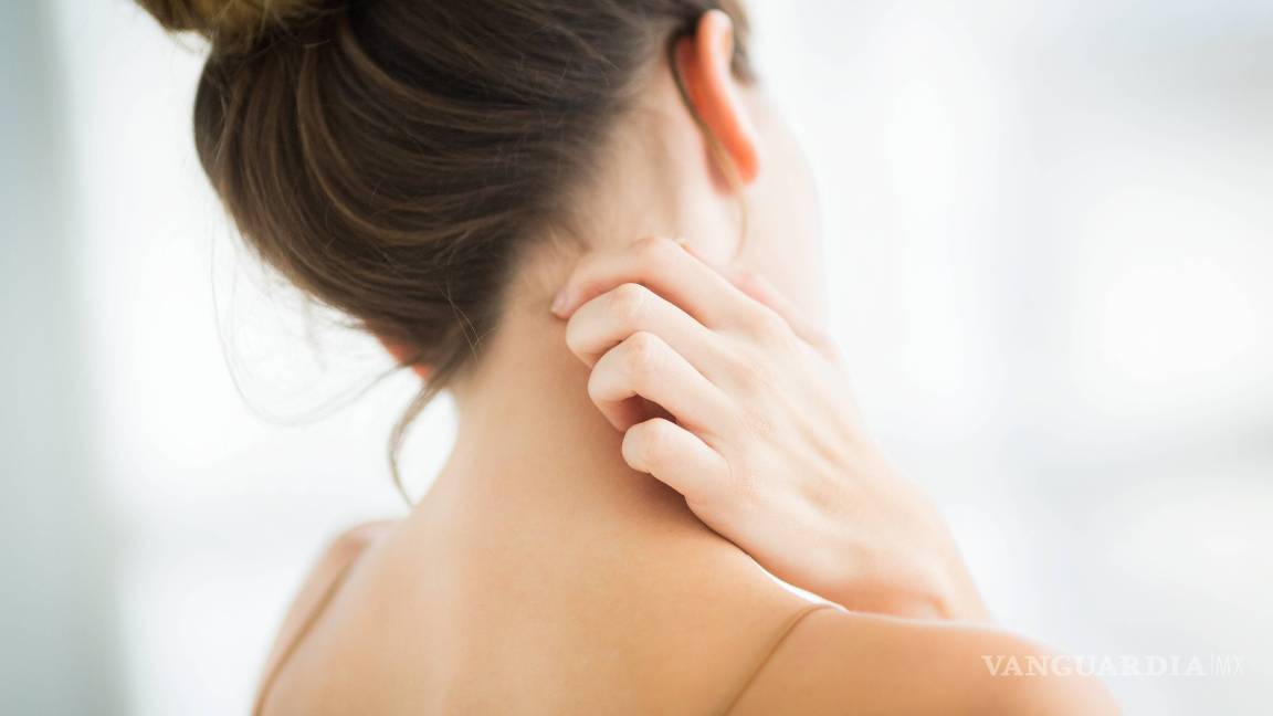 $!El riesgo de no lavar la ropa nueva antes de utilizarla