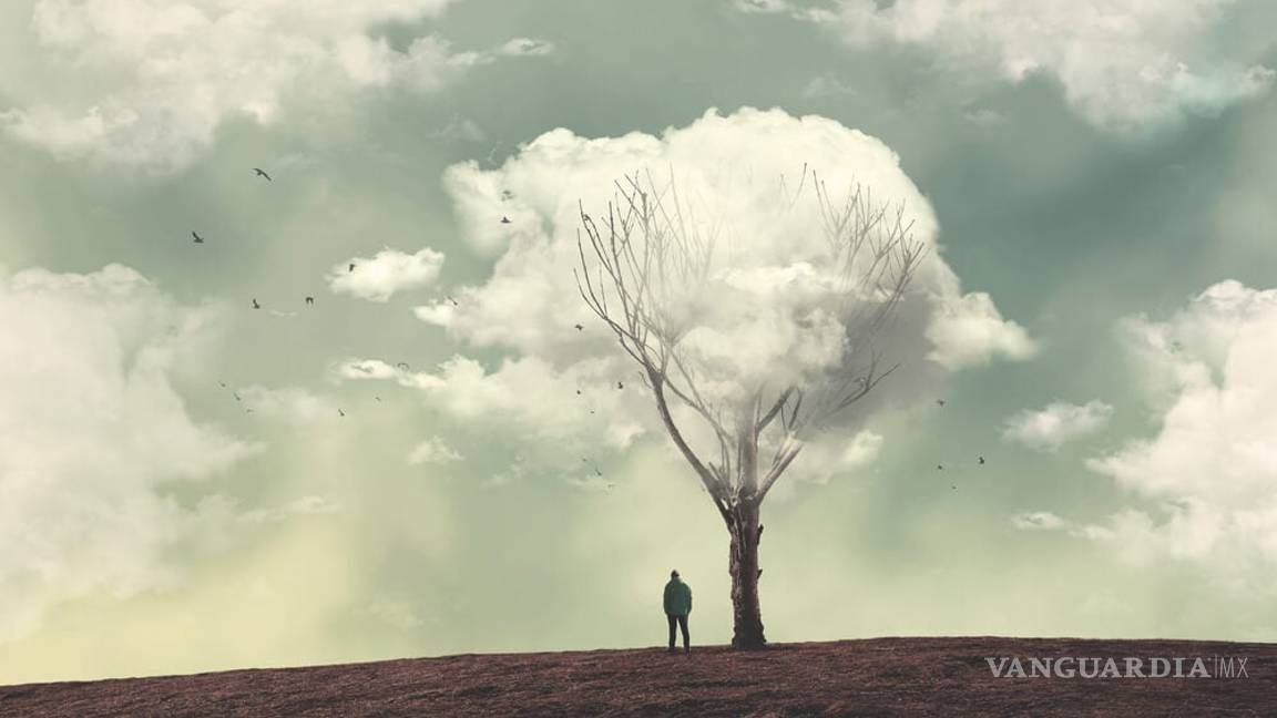 $!La soledad aumenta el riesgo de padecer de demencia