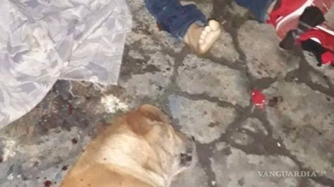 Sicarios del Cártel Jalisco Nueva Generación asesinan a un hombre y a su perro