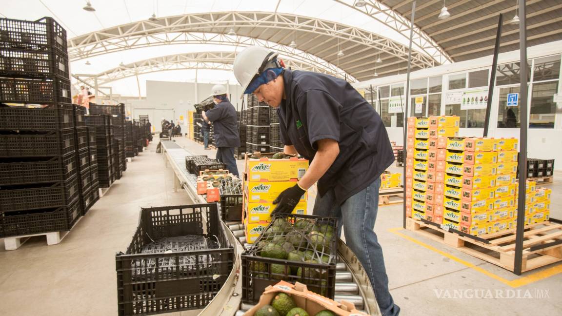 Creció casi 20 % superávit de la balanza agroalimentaria de México con el mundo en enero de 2020