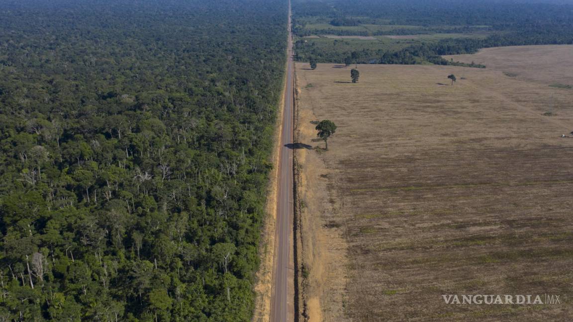 La Amazonia, en ‘código rojo’ por la deforestación