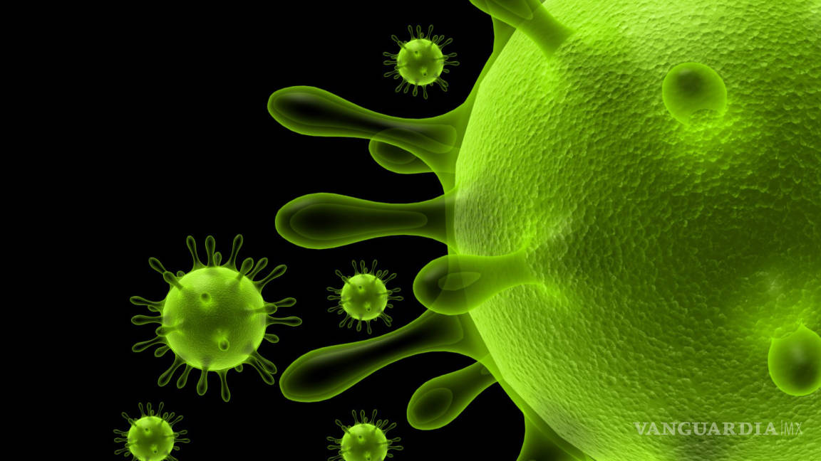 ‘Contagia’ coronavirus a empresas de la BMV: pierden 10 mil mdd
