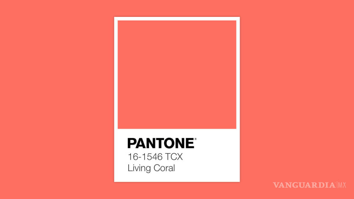 ¡Pantone revela el color que imperará en el 2019!