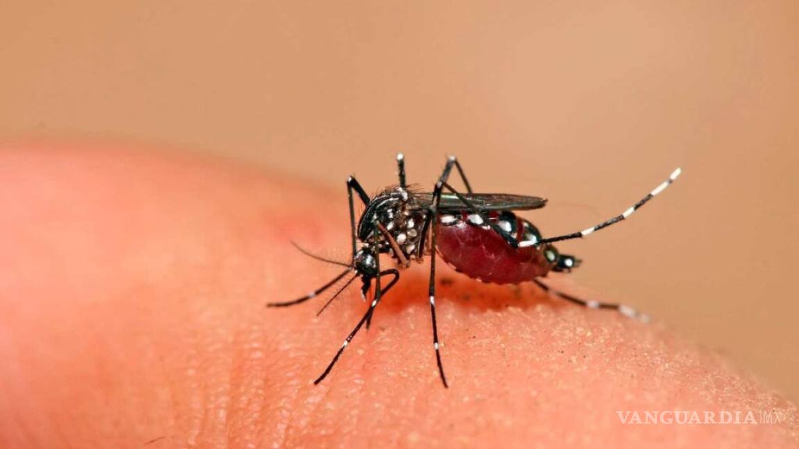 Aumentan en Torreón los casos de COVID-19 y de dengue