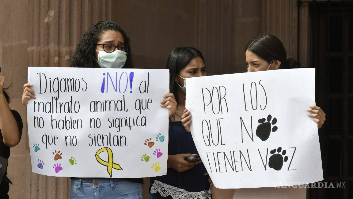 $!Se manifiestan saltillenses en el Congreso; exigen mayor castigo contra el maltrato animal