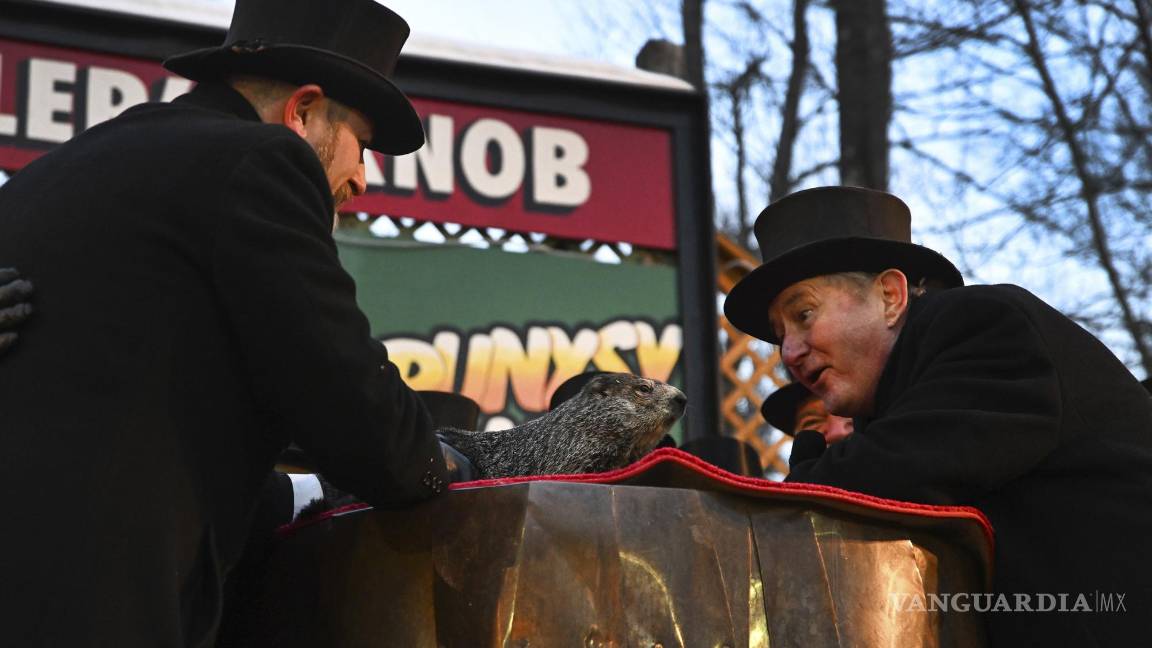 $!El presidente del Groundhog Club, Jeff Lundy, interactúa con Punxsutawney Phil, la marmota que pronostica. AP/Barry Reeger