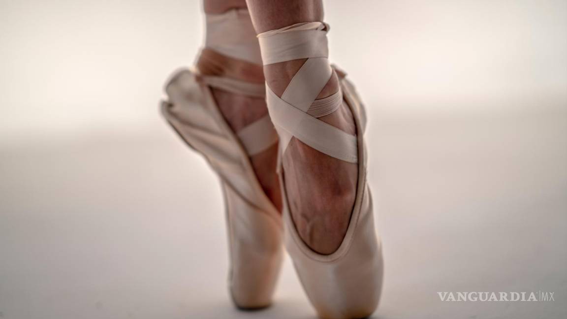 El Ballet como forma de vida II