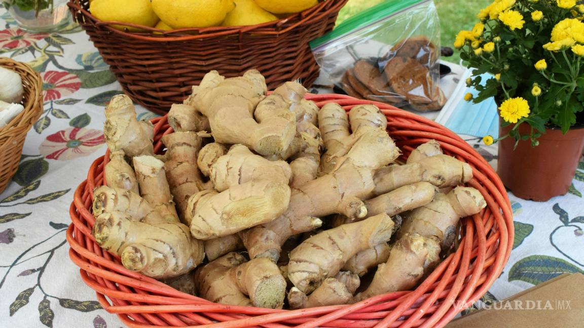 $!Consumido con moderación, puede ayudarte a aliviar náuseas, reducir ciertos tipos de dolor y apoyar tu salud metabólica e inmunológica.