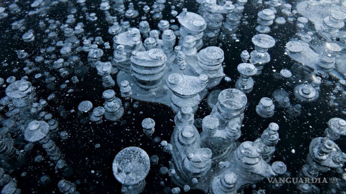 $!Las 10 fotos más espectaculares de National Geographic