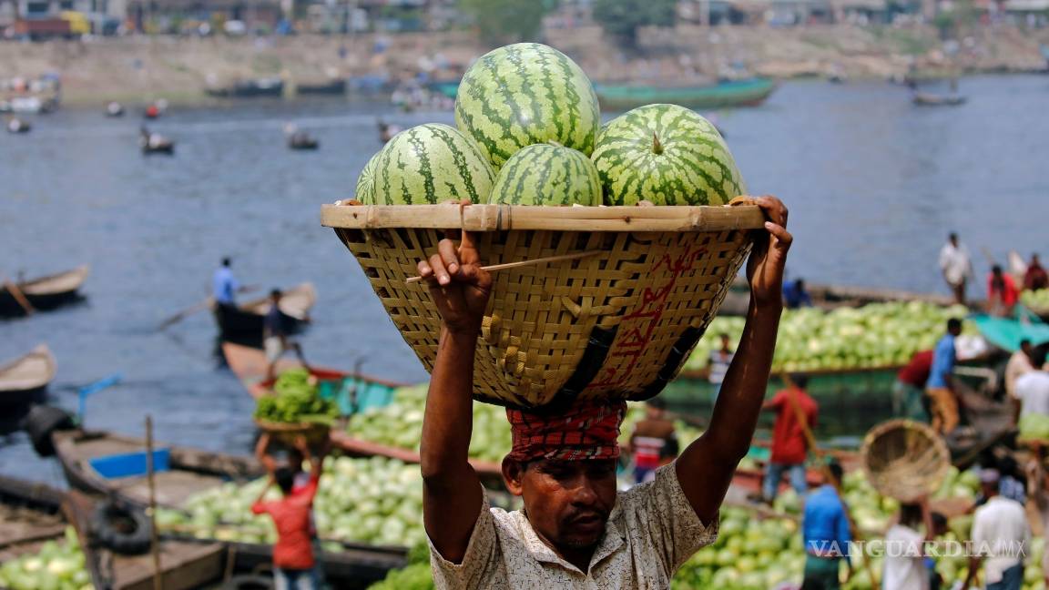 $!El futuro de la agricultura está entre los robots y la biotecnología