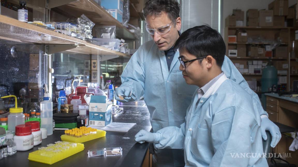 $!Desarrollan científicos un parche anticonceptivo de efecto prolongado