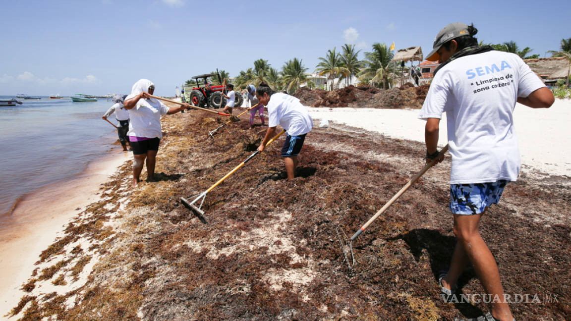 Sargazo se apila en orilla de las playas caribeñas de México